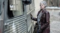 The Walking Dead Daryl Dixon
